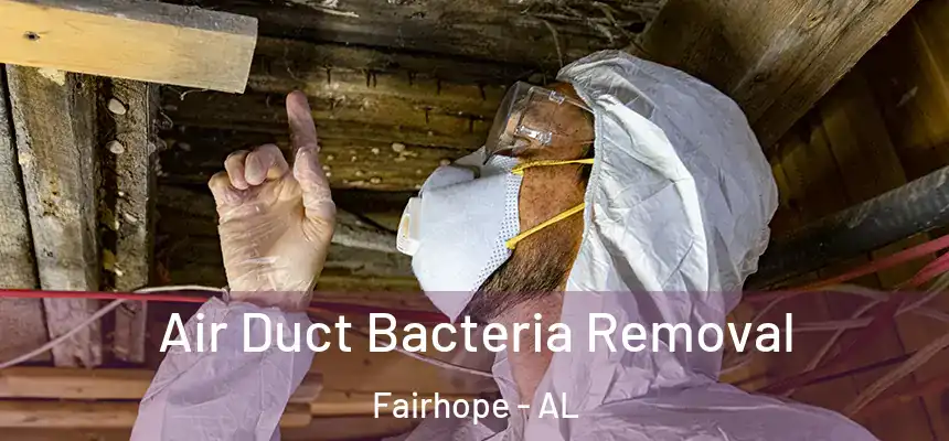  Air Duct Bacteria Removal Fairhope - AL
