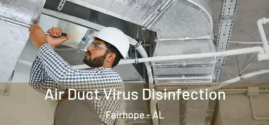  Air Duct Virus Disinfection Fairhope - AL