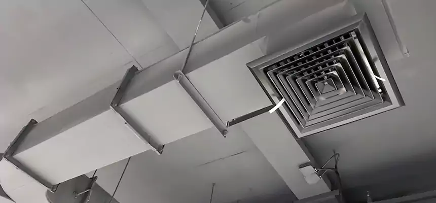 Restorative Allergy Relief Vent Cleaning – Coil, Blower & Housing Detail in Fairhope