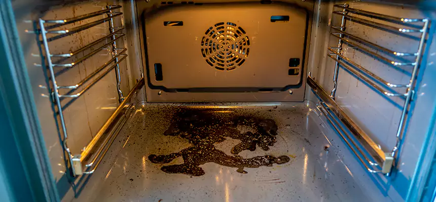 Our Dryer Vent Mold Cleaning Services in Fairhope, AL