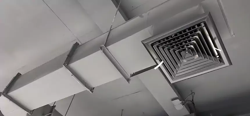 Our Pest Removal From Ducts Services in Fairhope, AL