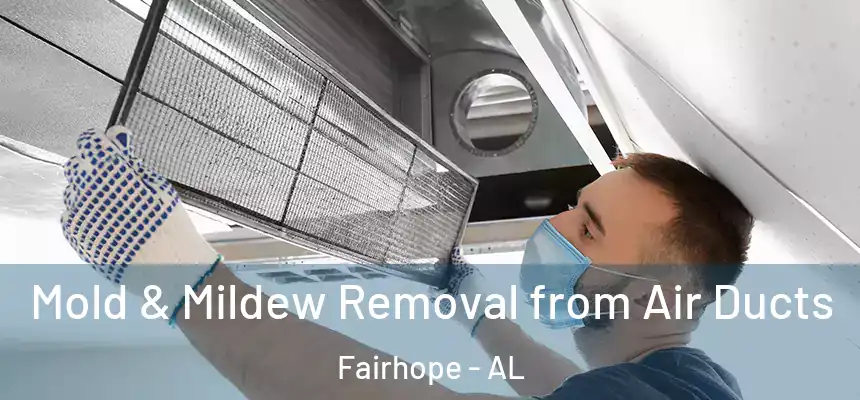  Mold & Mildew Removal from Air Ducts Fairhope - AL