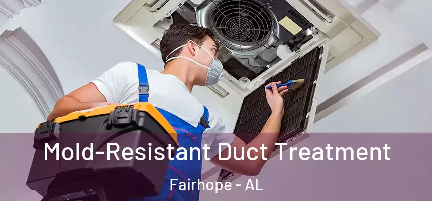  Mold-Resistant Duct Treatment Fairhope - AL