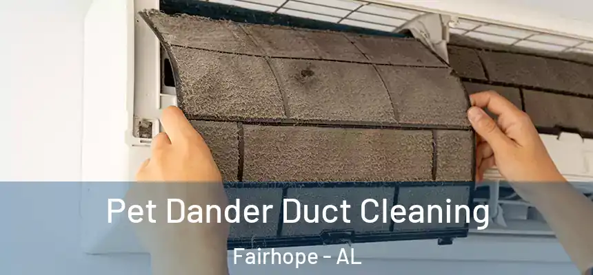  Pet Dander Duct Cleaning Fairhope - AL