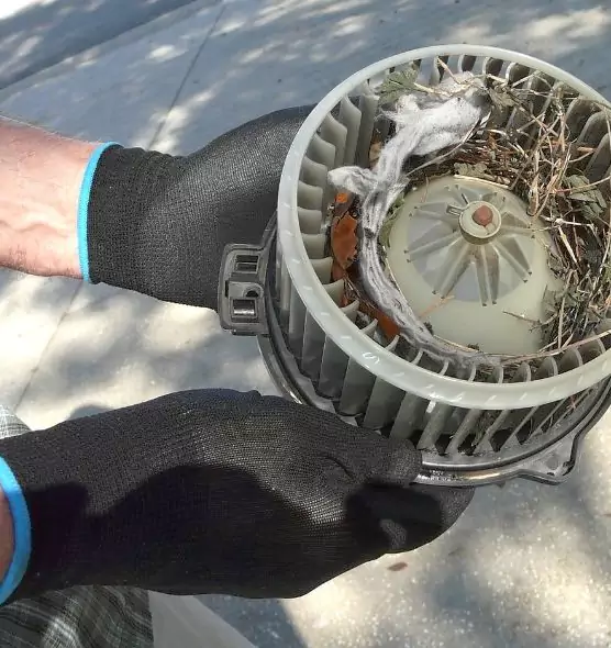 About Air Duct Mice Removal in Fairhope, AL