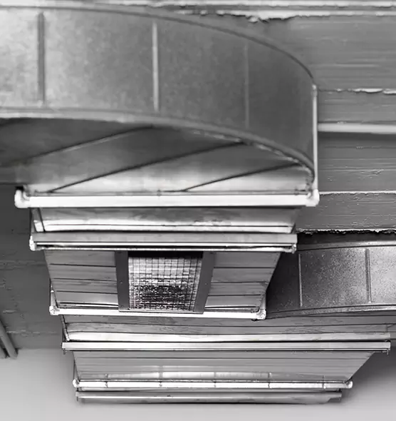 Professional Air Duct Pest Removal in Fairhope, AL