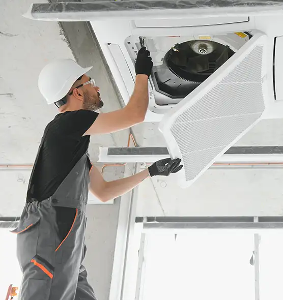 About Air Duct Rodent Removal in Fairhope, AL