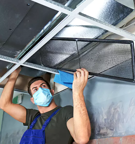 Professional Home Ventilation Cleaning in Fairhope, AL