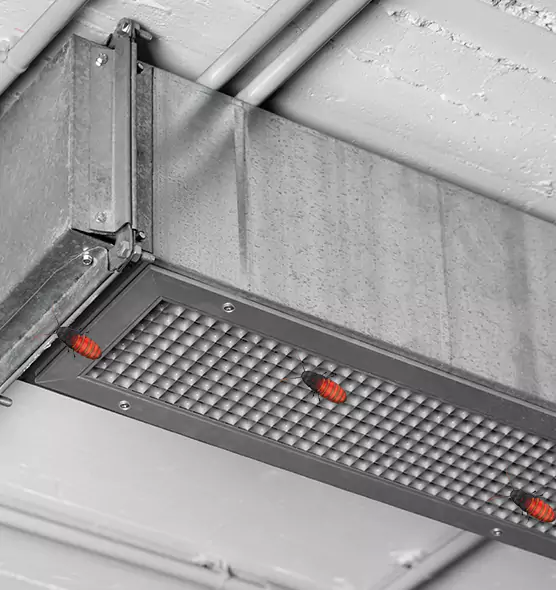 Affordable Insect Removal from Air Ducts in Fairhope, AL