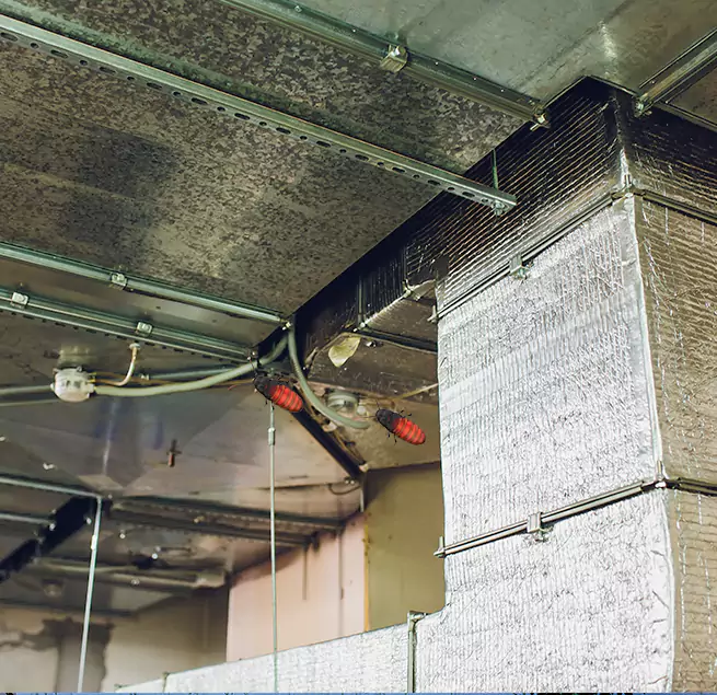 Why Homeowners & Businesses Trust Us in Fairhope, AL?