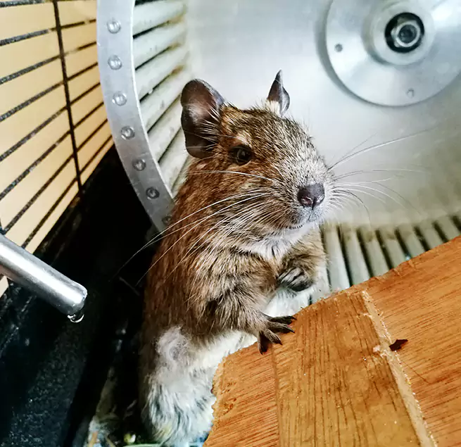 Why Homeowners & Businesses Trust Us Fairhope, AL?