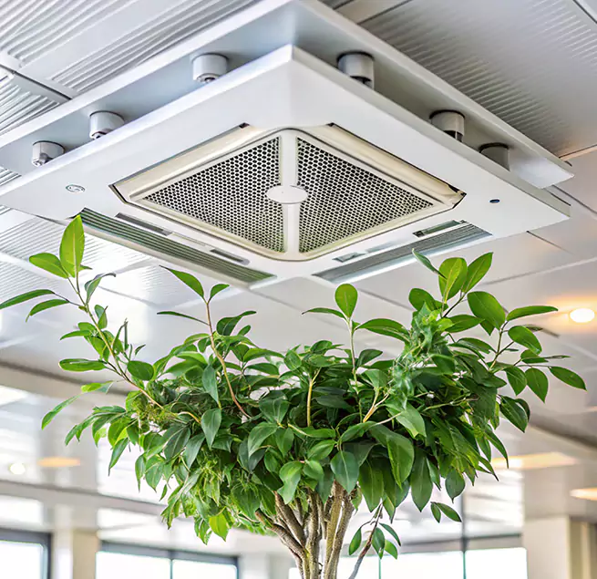 Why Homeowners & Businesses Trust Us in Fairhope, AL?